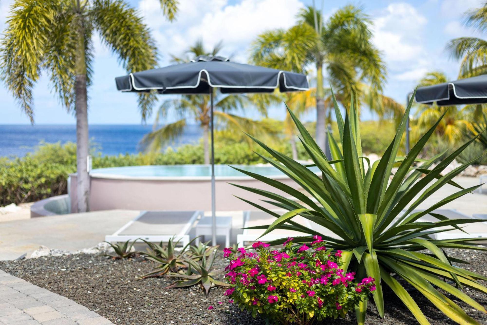 Willibrordus Coral Estate Luxury Resort מראה חיצוני תמונה